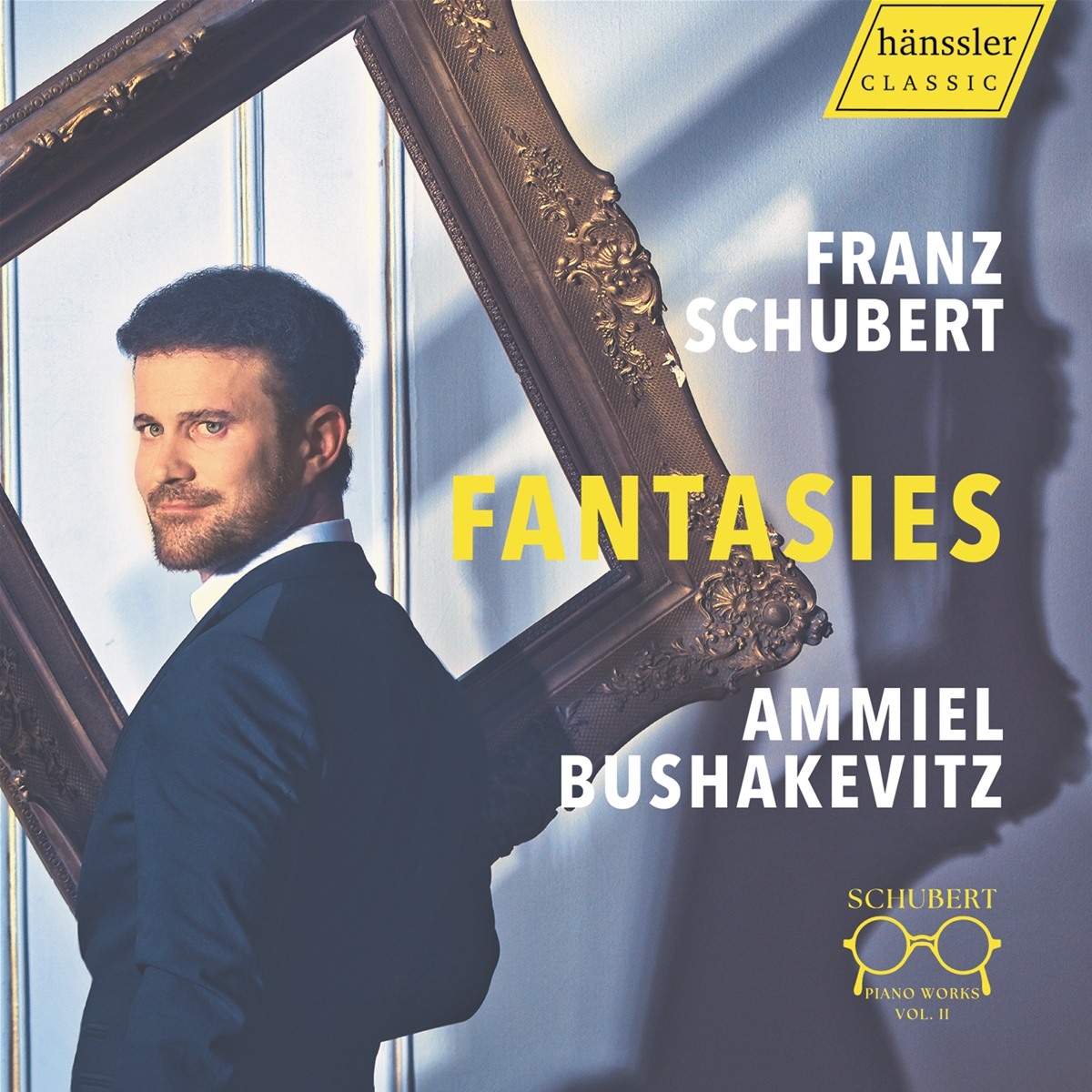 Franz Schubert: Fantasies