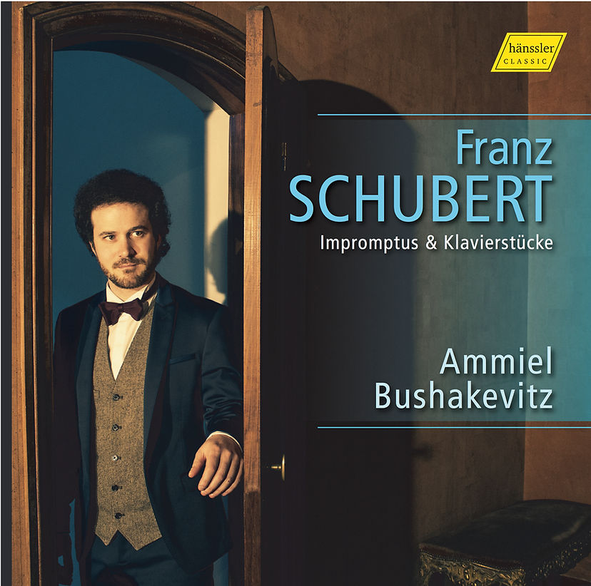 Franz Schubert - Impromptus